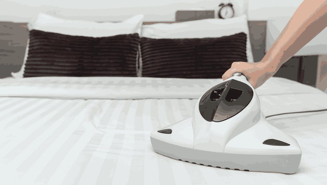 Professional Mattress Cleaning Balaclava